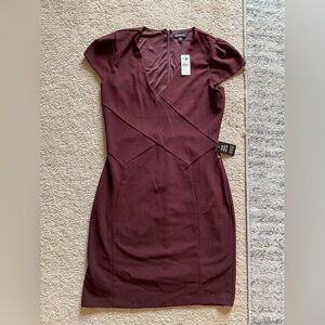 Express Maroon Sheath Dress